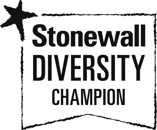 Stonewall diversity champion logo black